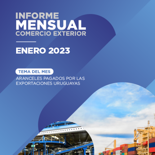 informe-mensual-enero-2023